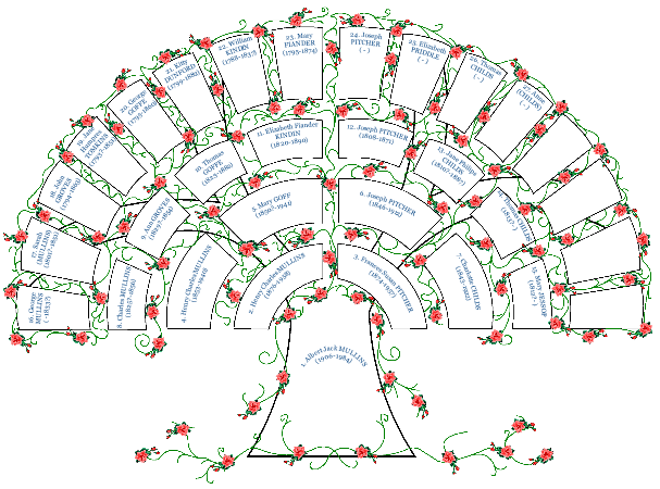 image of Fancy fan chart